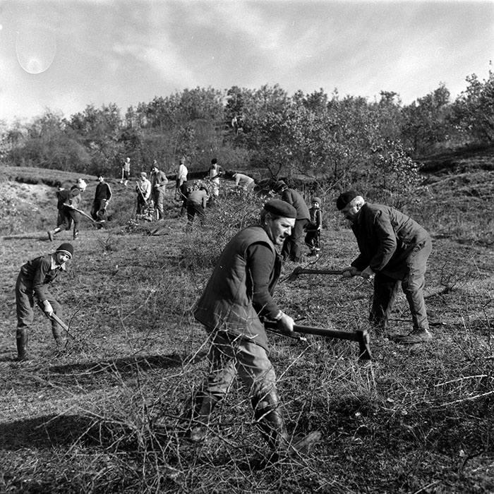 minerva_1988_agrar_c1r5_003