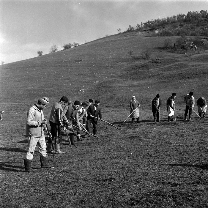 minerva_1988_agrar_c1r5_006