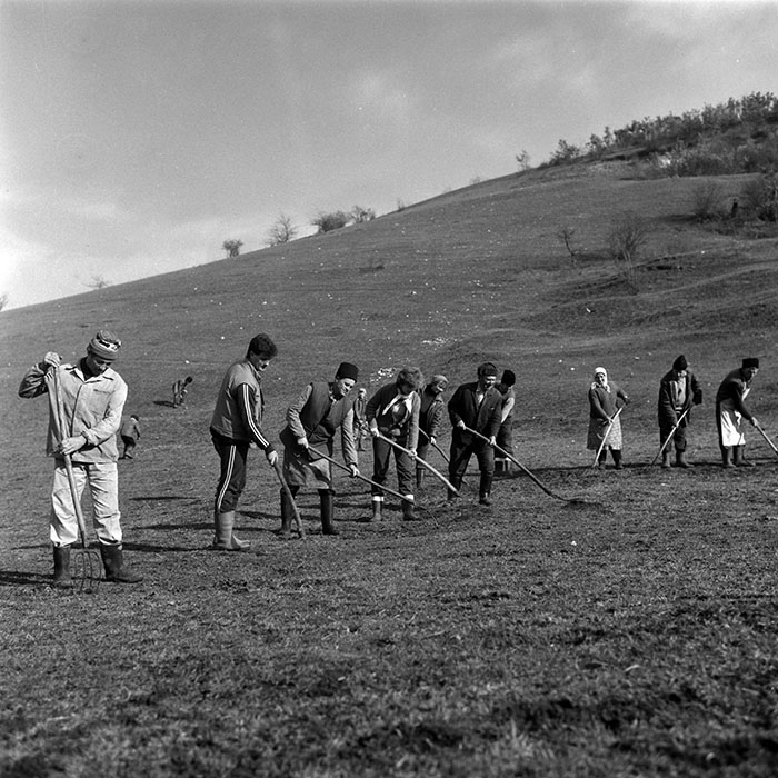 minerva_1988_agrar_c1r5_007