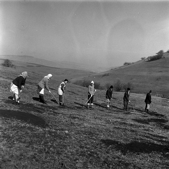 minerva_1988_agrar_c1r5_008