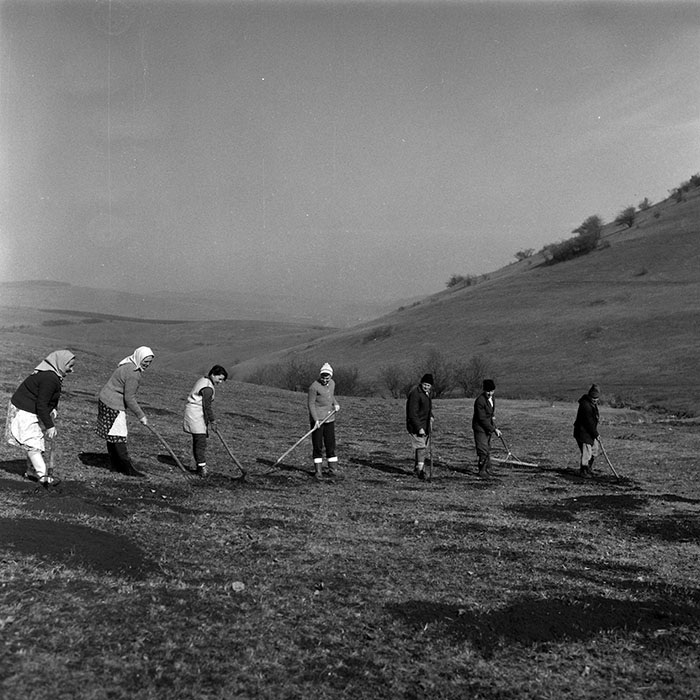 minerva_1988_agrar_c1r5_009