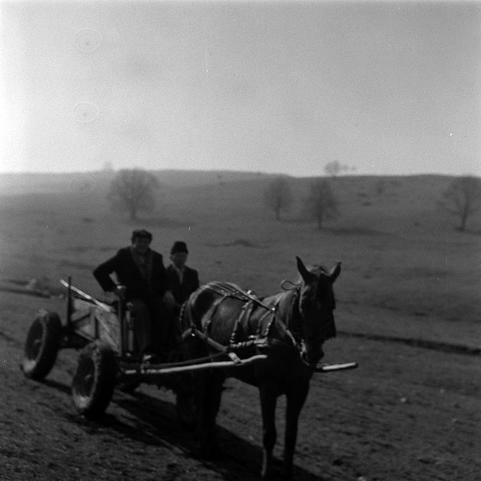 minerva_1988_agrar_c1r5_010