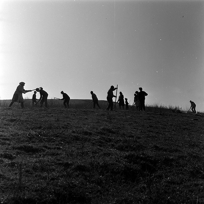 minerva_1988_agrar_c1r5_014