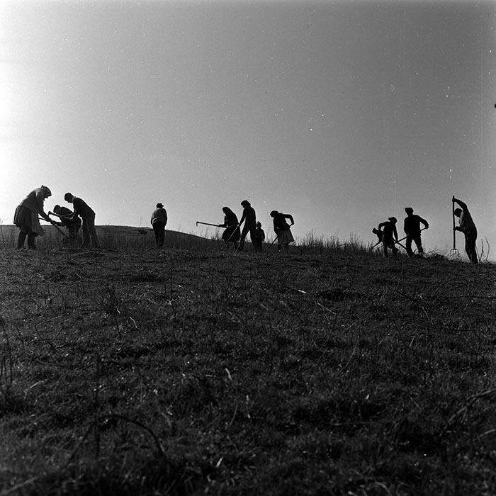 minerva_1988_agrar_c1r5_015