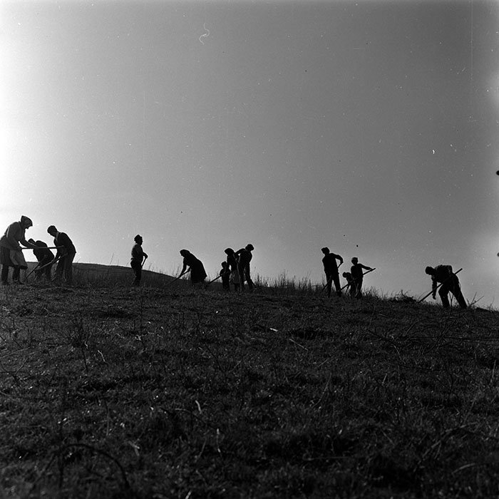 minerva_1988_agrar_c1r5_016