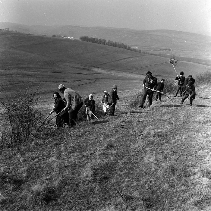 minerva_1988_agrar_c1r5_018