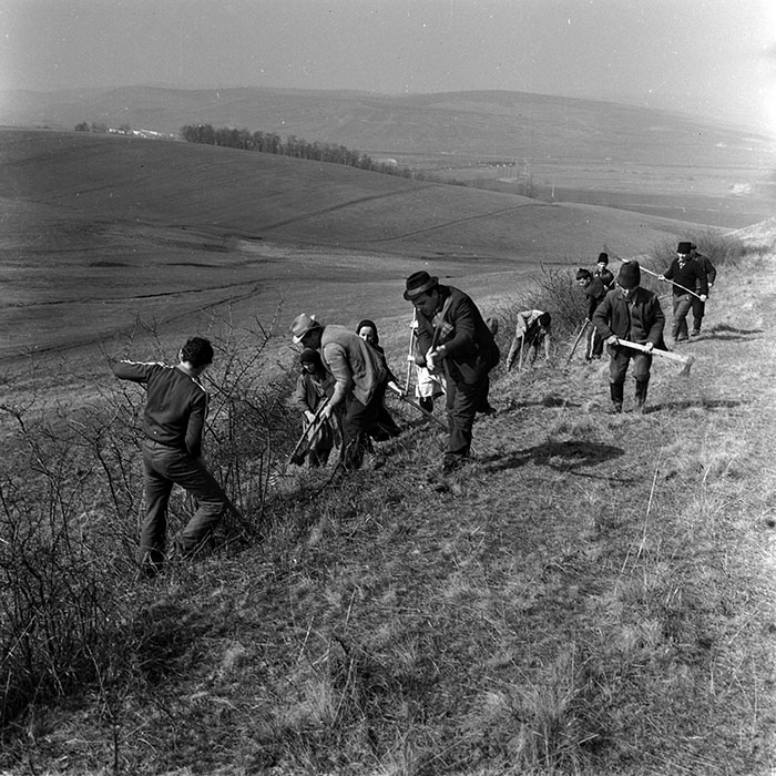 minerva_1988_agrar_c1r5_019