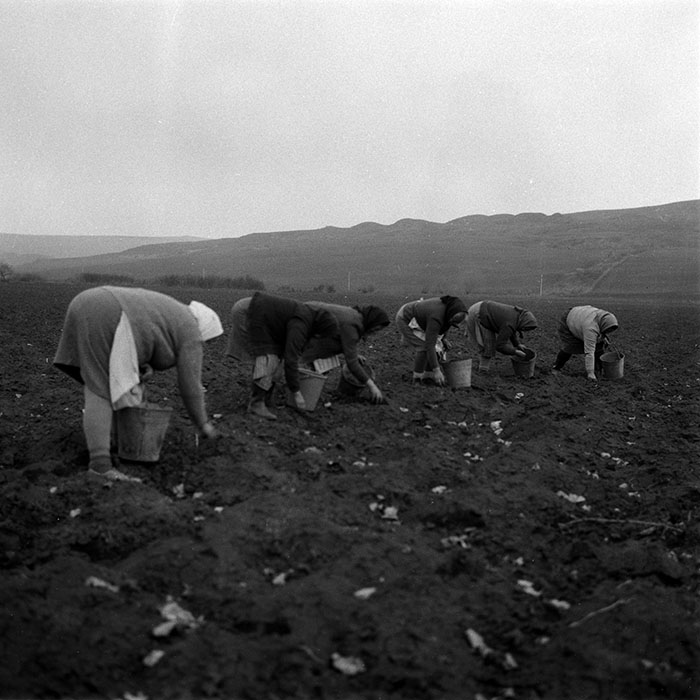 minerva_1988_agrar_c2r1_001