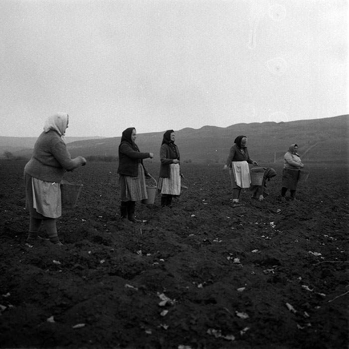 minerva_1988_agrar_c2r1_002