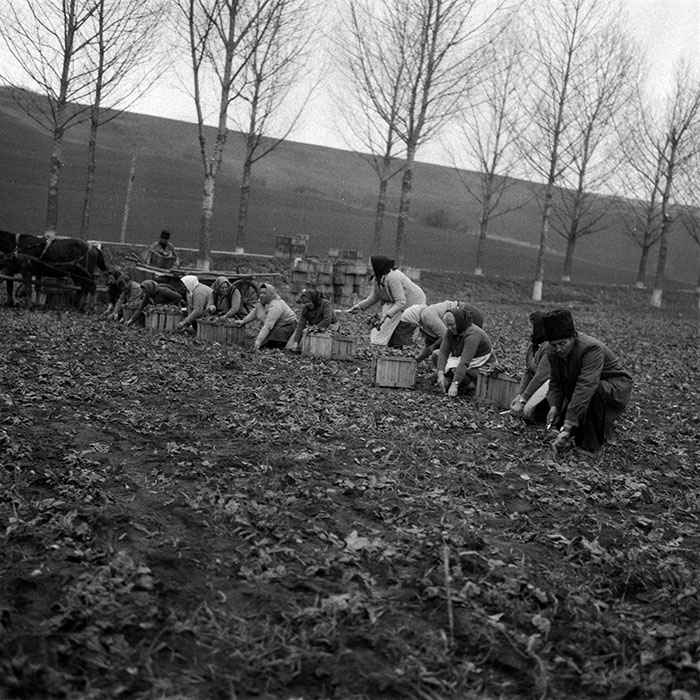 minerva_1988_agrar_c2r1_006