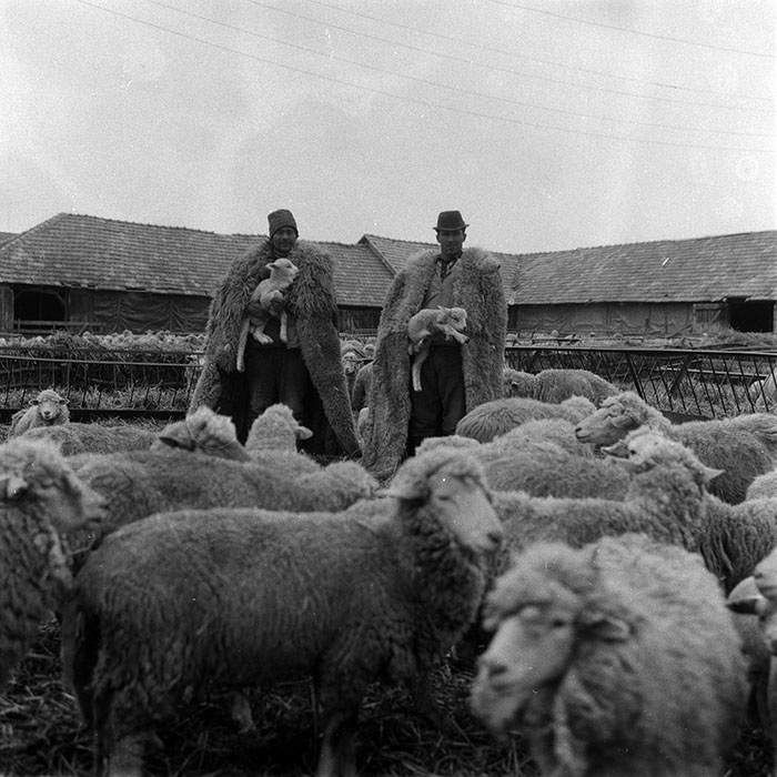 minerva_1988_agrar_c2r1_009