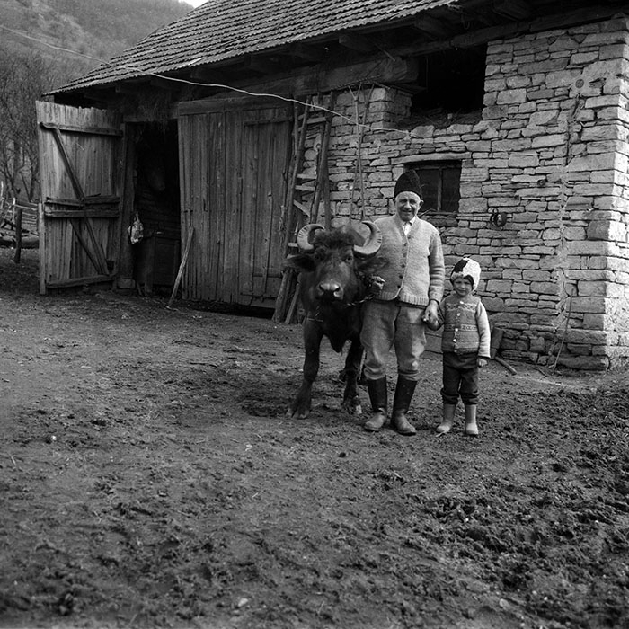 minerva_1988_agrar_c2r1_012