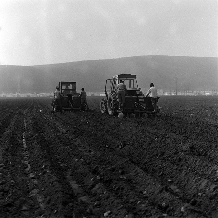 minerva_1988_agrar_c2r2_002