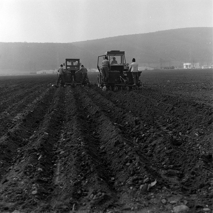 minerva_1988_agrar_c2r2_003