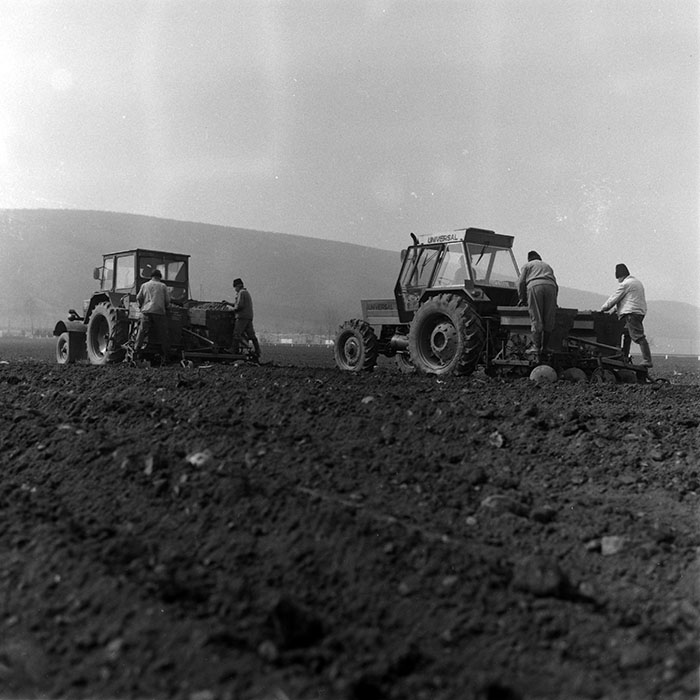 minerva_1988_agrar_c2r2_004