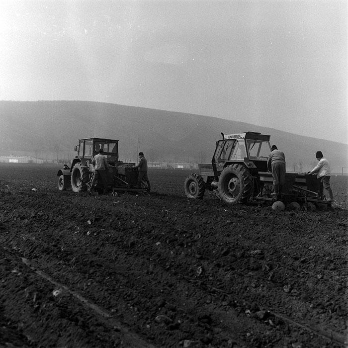 minerva_1988_agrar_c2r2_005