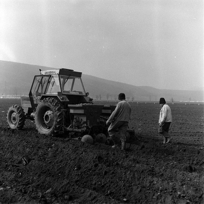 minerva_1988_agrar_c2r2_006