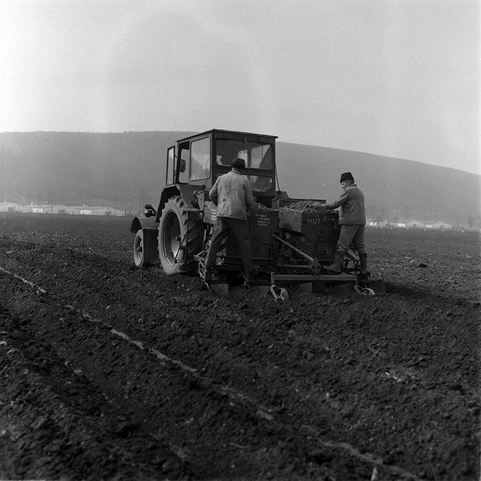 minerva_1988_agrar_c2r2_007