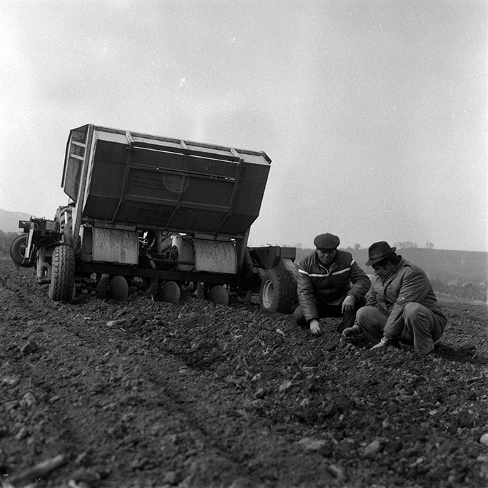 minerva_1988_agrar_c2r2_010