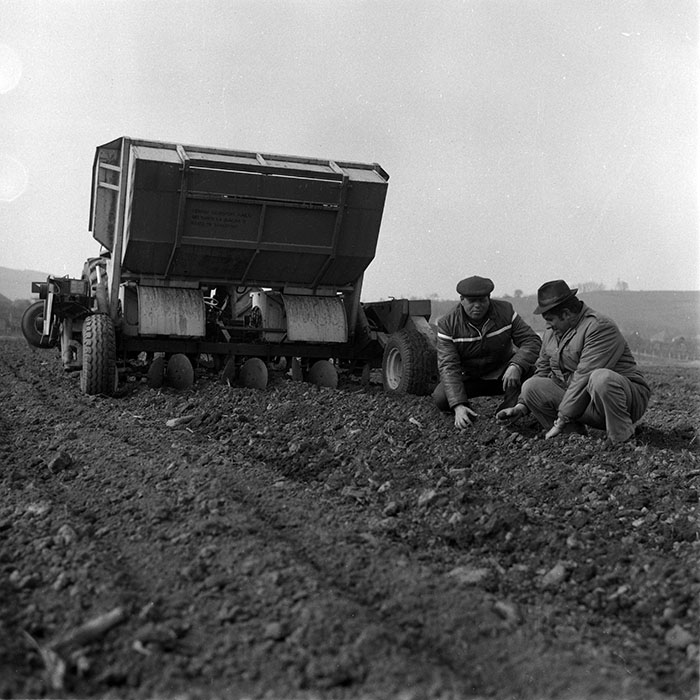 minerva_1988_agrar_c2r2_011