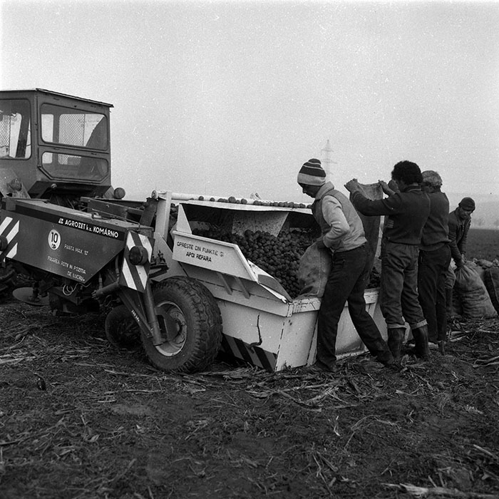 minerva_1988_agrar_c2r2_014