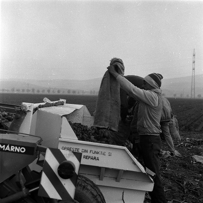 minerva_1988_agrar_c2r2_015