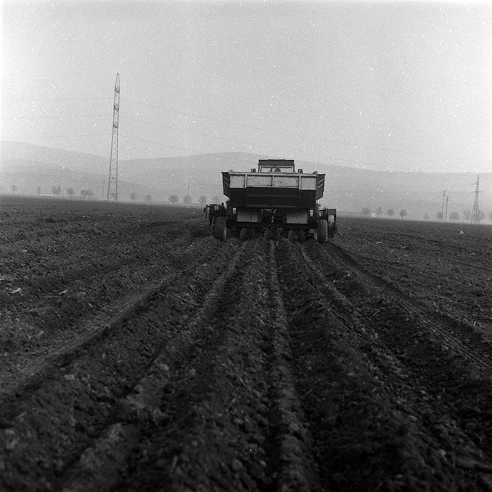 minerva_1988_agrar_c2r2_016