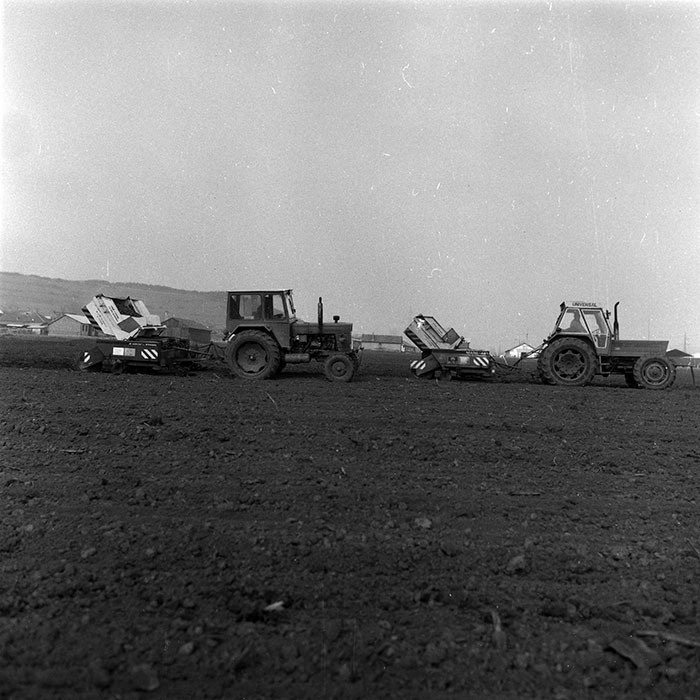 minerva_1988_agrar_c2r2_020