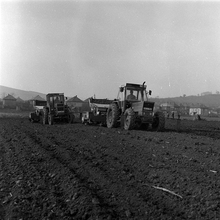 minerva_1988_agrar_c2r2_022