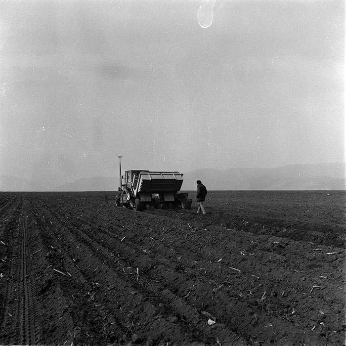 minerva_1988_agrar_c2r2_024