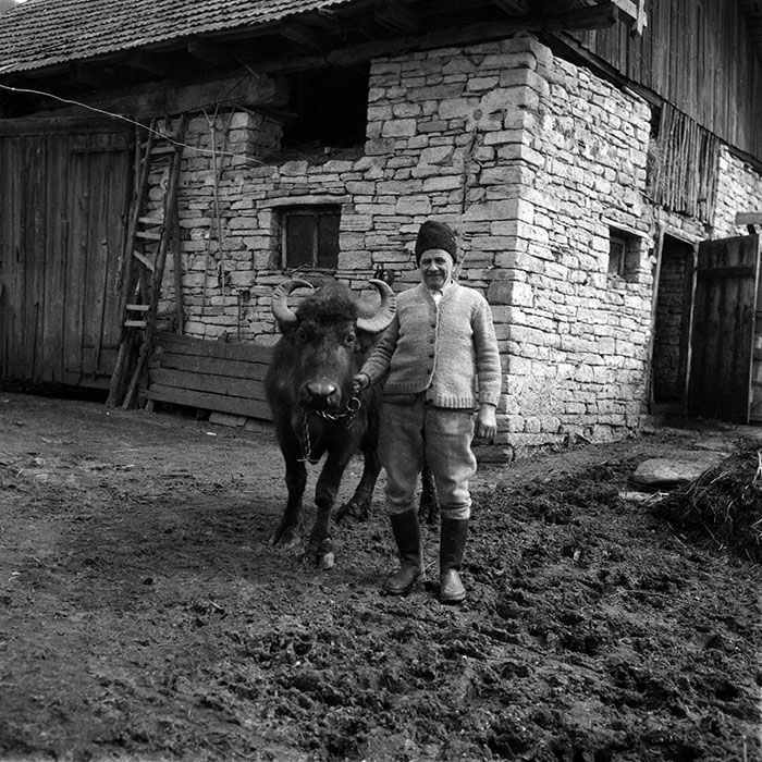 minerva_1988_agrar_c2r3_001