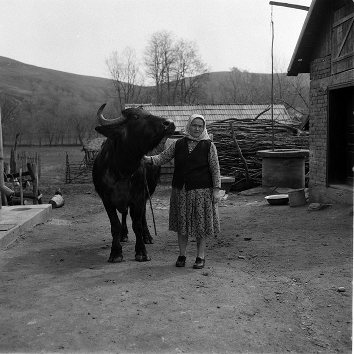 minerva_1988_agrar_c2r3_006