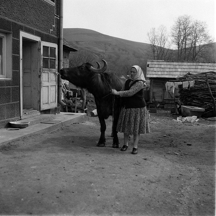 minerva_1988_agrar_c2r3_007