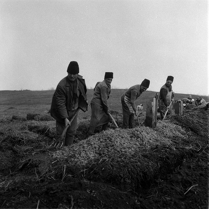 minerva_1988_agrar_c2r3_008