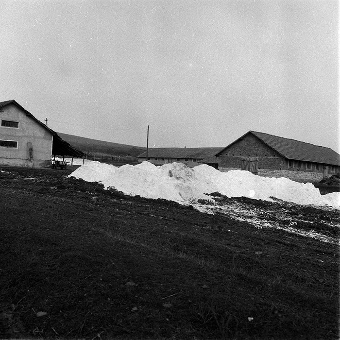 minerva_1988_agrar_c2r3_011