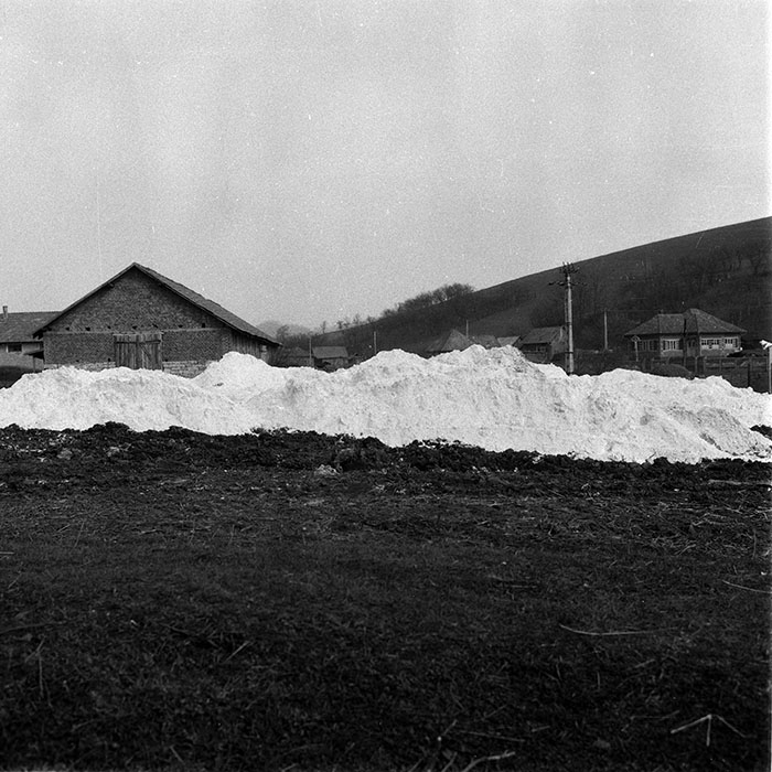 minerva_1988_agrar_c2r3_012