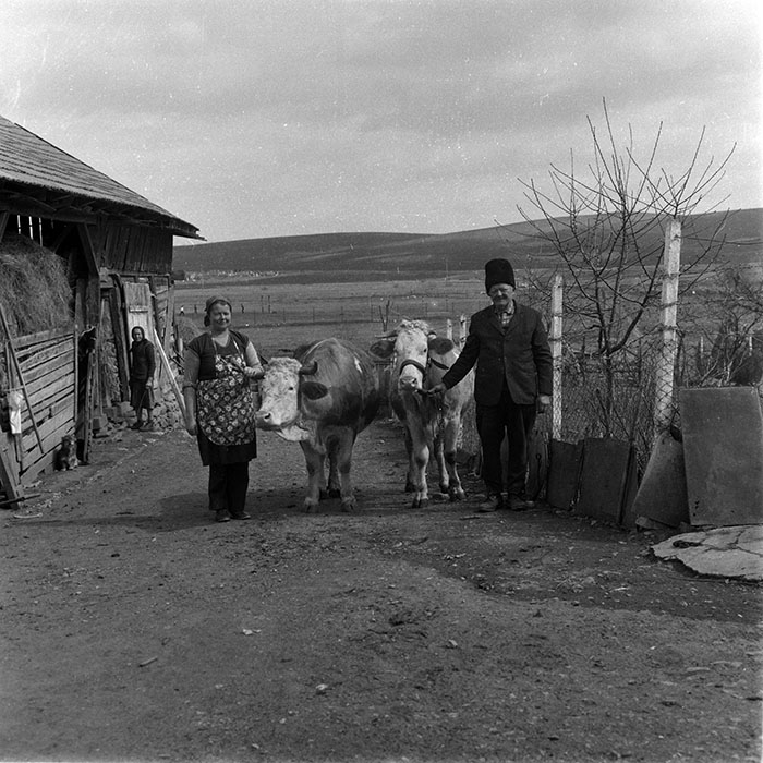 minerva_1988_agrar_c2r3_013