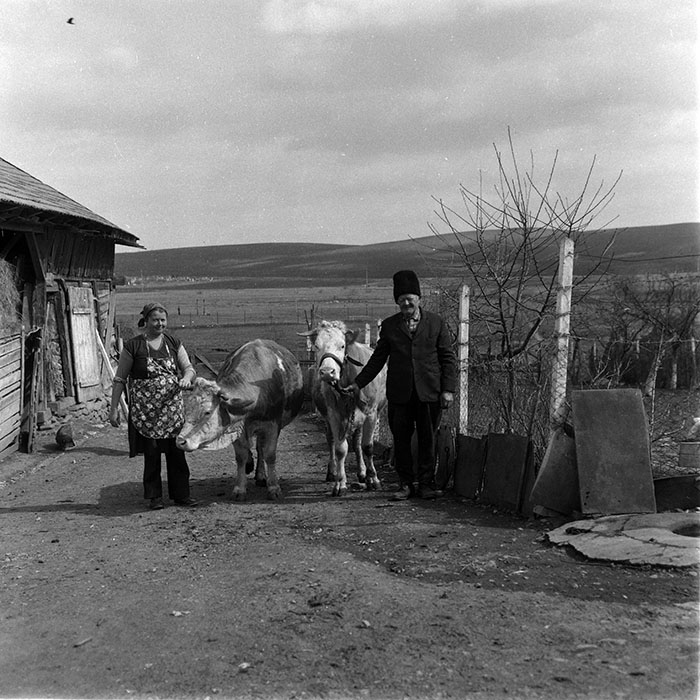 minerva_1988_agrar_c2r3_014