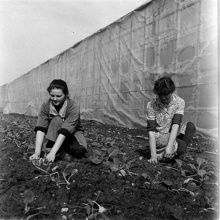 minerva_1988_agrar_c2r4_001