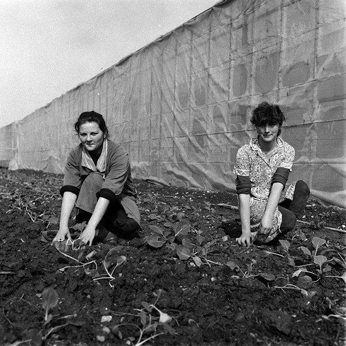 minerva_1988_agrar_c2r4_002