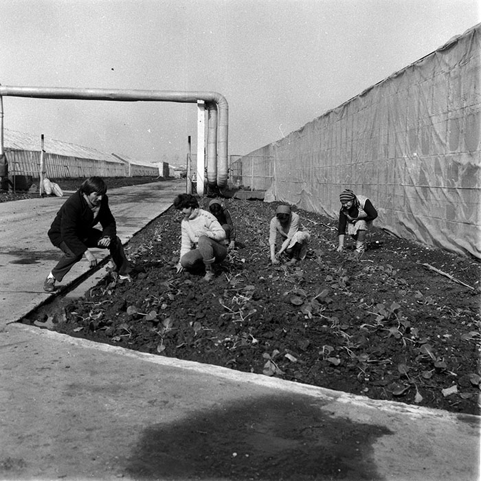 minerva_1988_agrar_c2r4_003