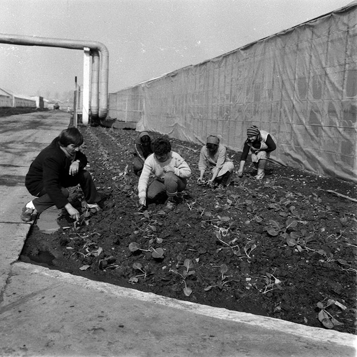 minerva_1988_agrar_c2r4_004