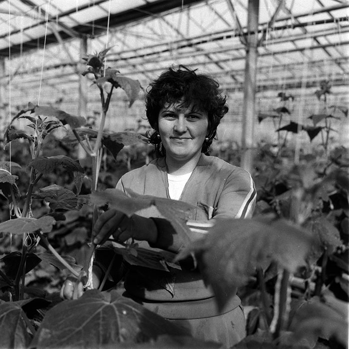 minerva_1988_agrar_c2r4_005