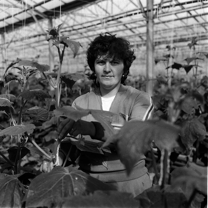 minerva_1988_agrar_c2r4_006