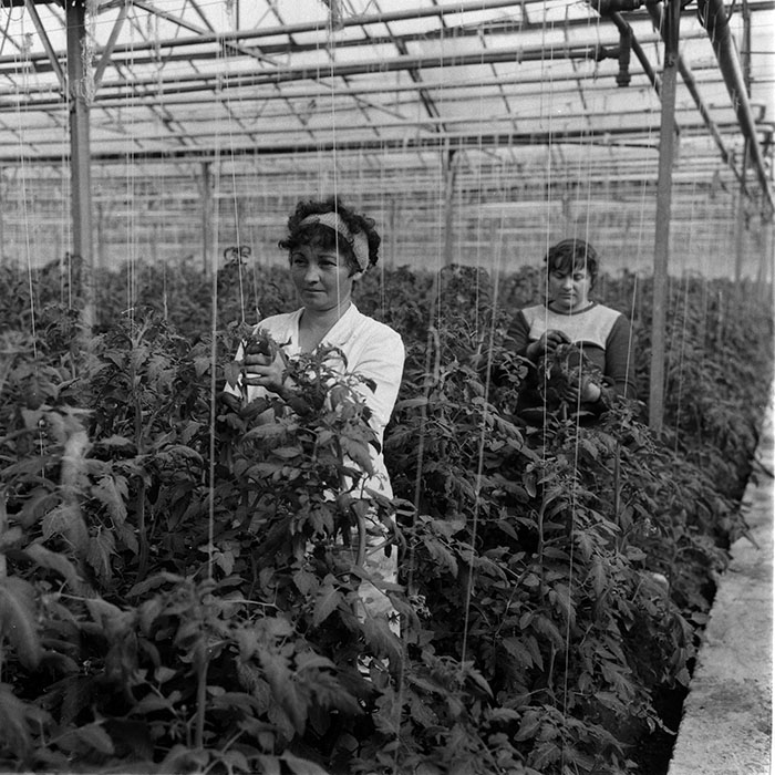 minerva_1988_agrar_c2r4_008