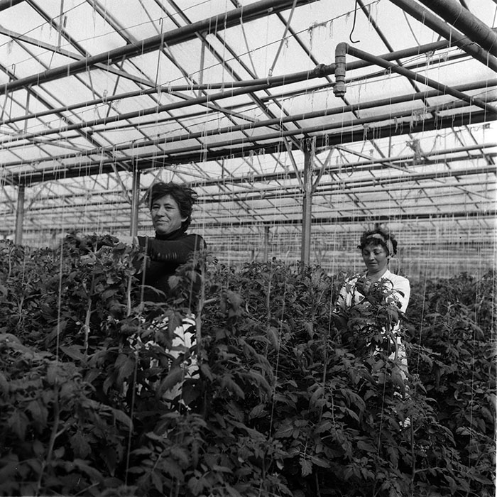 minerva_1988_agrar_c2r4_010