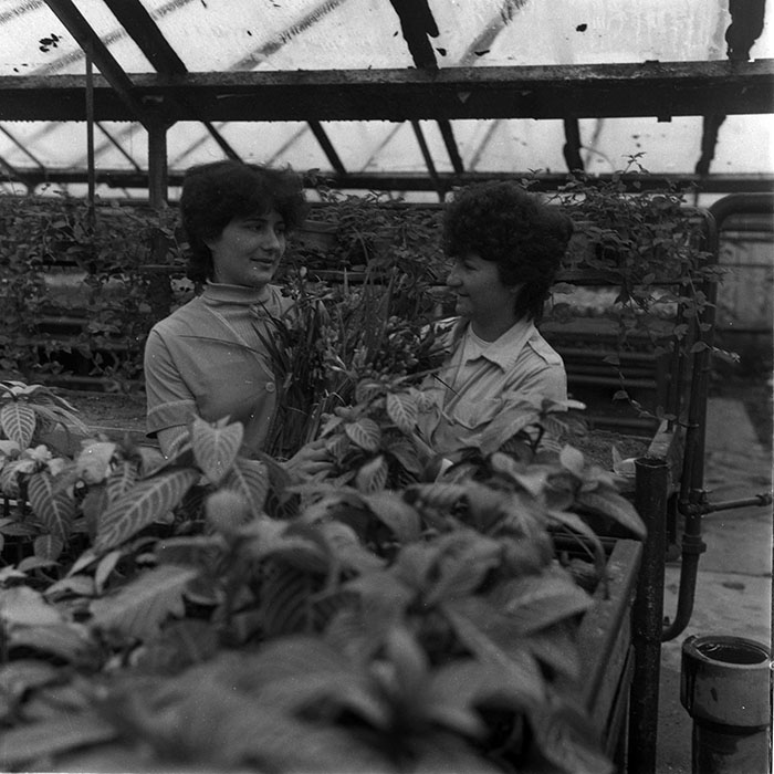 minerva_1988_agrar_c2r4_014