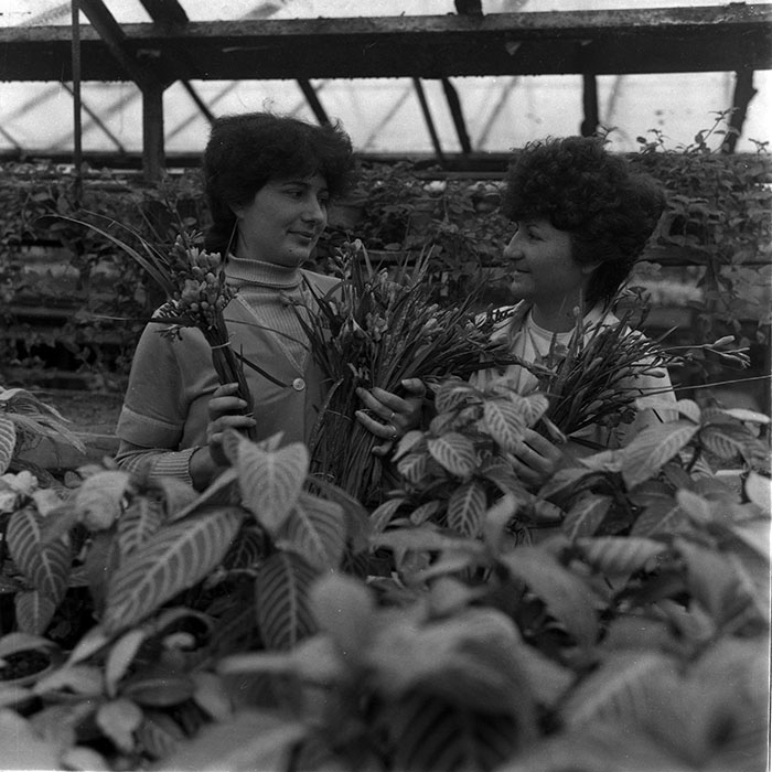 minerva_1988_agrar_c2r4_015