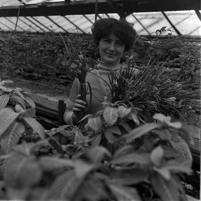 minerva_1988_agrar_c2r4_016