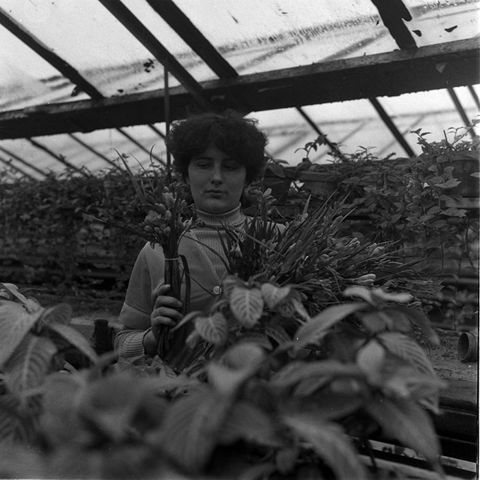 minerva_1988_agrar_c2r4_017